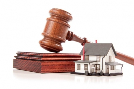 Признание права собственности на недвижимость. Негаторный и виндикационный иски