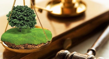 Земельный юрист | Консультация юриста по земельным вопросам