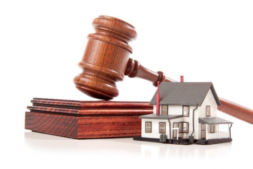Признание права собственности на недвижимость. Негаторный и виндикационный иски